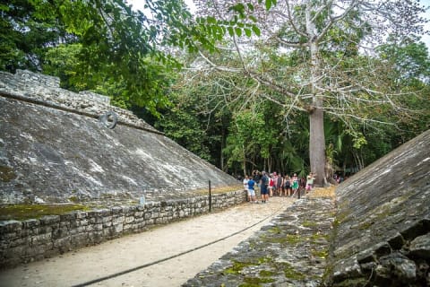 Half a Day Tour to Coba Ruins with Cenote and Mayan Village — photo 5