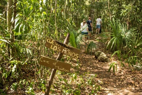 Private Coba Ruins and Natural Reserve — photo 8