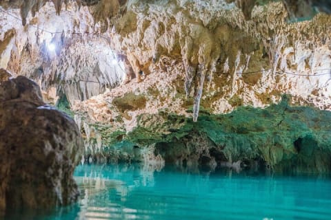 Tulum ruins, Swim with turtles and Cenote from Riviera Maya — photo 8