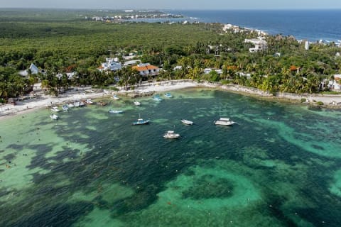 From Tulum: Akumal Beach Swim and Snorkel with Turtles Experience — photo 9