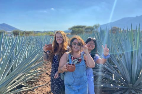 Aventura de un día al Pueblo Mágico de Tequila desde Puerto Vallarta — photo 1