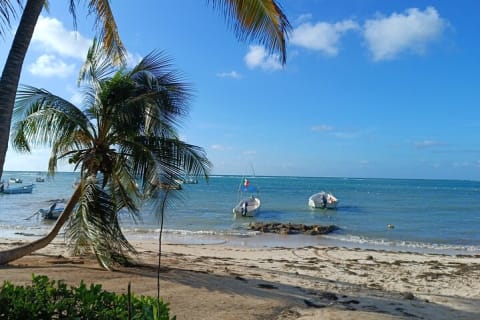 Nager avec les tortues d'Akumal — photo 10