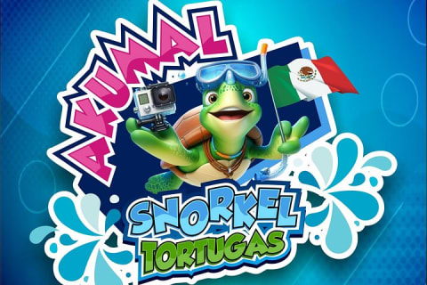 Nager avec les tortues d'Akumal — photo 13