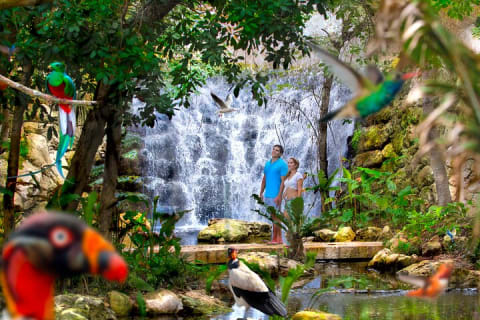 Combo 2X1 Eco Park adventure & tour to Chichen Itza and a Cenote — photo 5