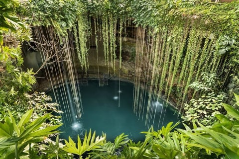 Visit Chichén Itzá, Cenote and Valladolid. Transport included — photo 5
