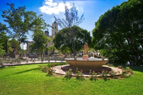 Visit Chichén Itzá, Cenote and Valladolid. Transport included — photo 9