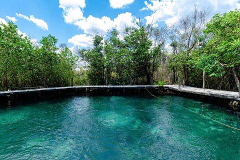 Magical adventure in Holbox. Discover the Passion island & Cenote Yalahau — photo 6