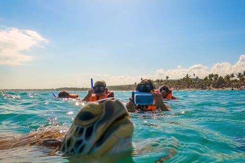 Akumal paradise tour Swimming with Turtles & ancient Tulum Ruins. Lunch included — photo 14