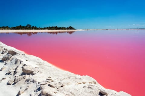 Tour to Las Coloradas Pink Waters and Boat Ride in Rio Lagartos with Lunch. — photo 10