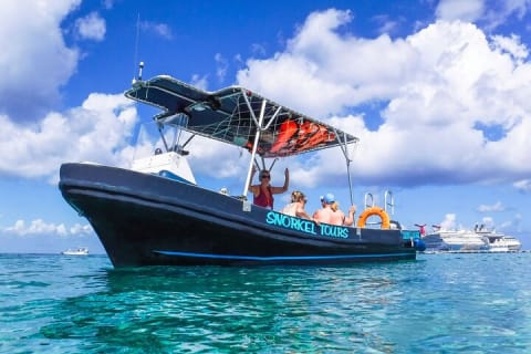 Amazing Snorkel at Cozumel Reef! Round Transportation from Tulum — photo 2
