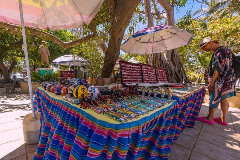 Excursion à Sayulita et San Pancho — photo 11
