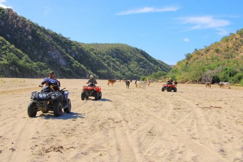 Tour en ATV por la playa y el desierto de Migriño, Cabo, con degustación de tequila — photo 13