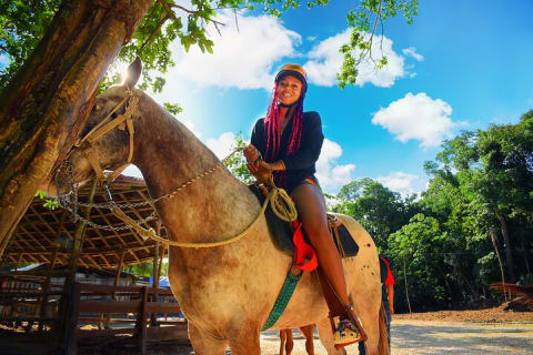 Horse Xtreme Wild — photo 4