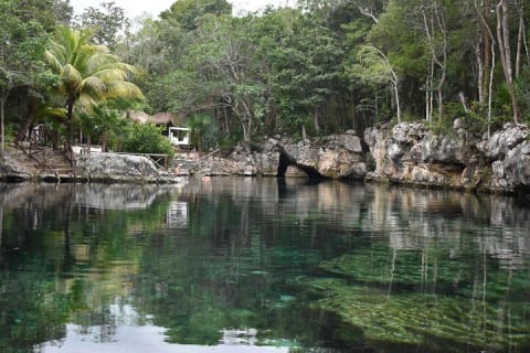 Half Day Cenotes Tour — photo 1