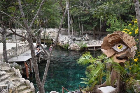 Half Day Cenotes Tour — photo 3