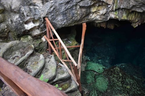 Half Day Cenotes Tour — photo 4