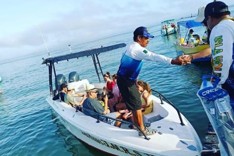 Holbox - Fishing & Snorkeling in Cabo Catoche with drinks & snack — photo 13