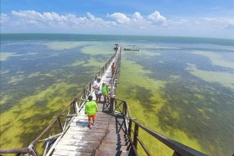Holbox: Pajaros island, Pasion Island & Punta Mosquito- pick up — photo 11