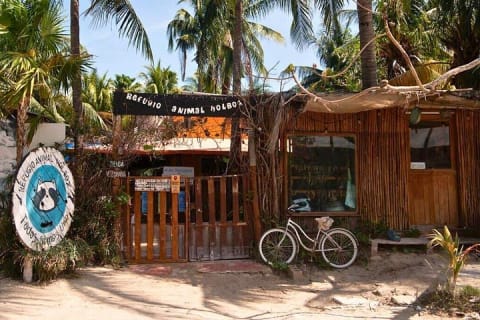 Self-Guided Map: Discover the best of Holbox at your own pace — photo 10