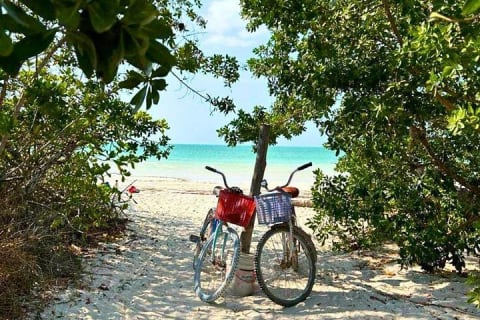 Self-Guided Tour: Explore Holbox at your own pace on Bike and SUP — photo 12