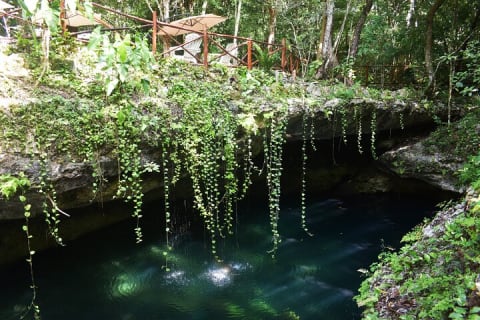Cancun: Discover the Hidden Treasures: Exploring 3 Jungle Cenotes — photo 13