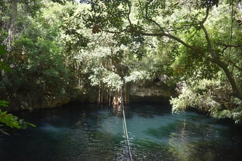 Discover 3 amazing cenotes. Includes transport & snack — photo 9
