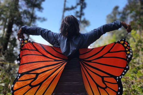 Réserve du papillon monarque : Piedra Herrada et le magique Valle de Bravo — photo 4