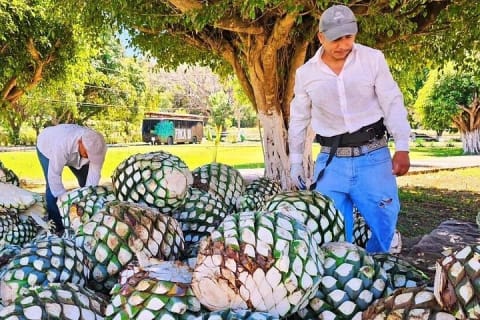 Visite de tequila à Finca 18 Puerto Vallarta + accord avec le chocolat — photo 9