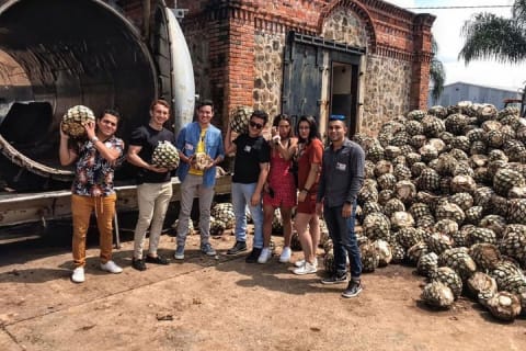 Aventura de un día al Pueblo Mágico de Tequila desde Puerto Vallarta — photo 5