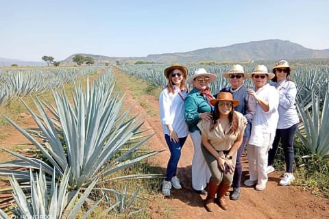 Aventura de un día al Pueblo Mágico de Tequila desde Puerto Vallarta — photo 6