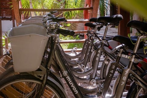 Bike Rental in Tulum downtown — photo 2