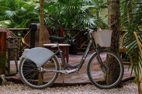 Bike Rental in Tulum downtown — photo 3