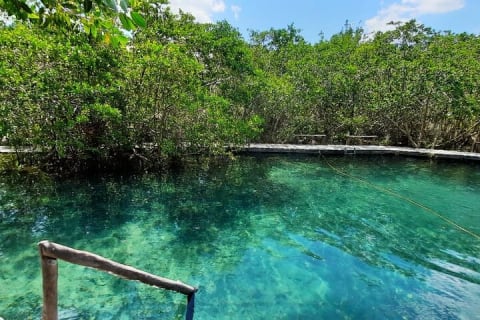 Full Day Excursion to the Best of Holbox From Riviera Maya — photo 3