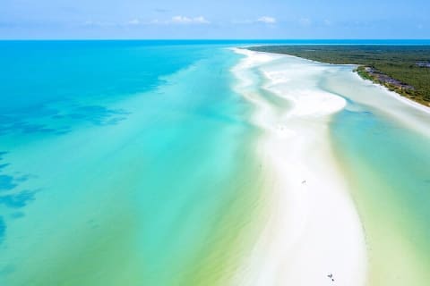 Full Day Excursion to the Best of Holbox From Riviera Maya — photo 6