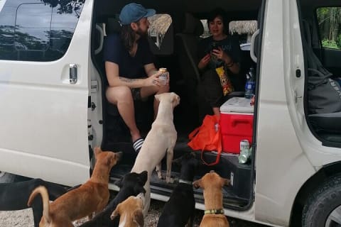 Private Transfers to Tulum Airport — photo 10