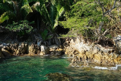 Tour privado de medio día con snorkel en Playa Animas — photo 7