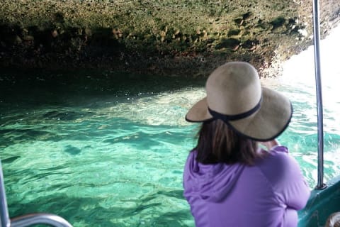 Tour privado de medio día con snorkel en Playa Animas — photo 9