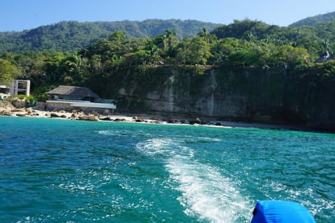 Tour privado de medio día con snorkel en Playa Animas — photo 11