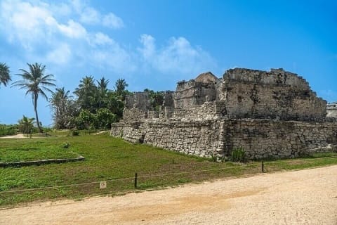 Full Day Tulum Ruins Tour with Cenote and Snorkeling Sea Turtles — photo 5