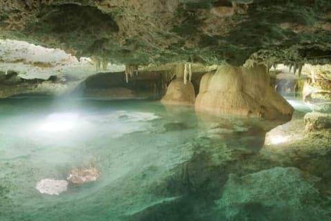 Half Day Semiprivate Snorkeling with Turtles and Majestic Cenote — photo 8