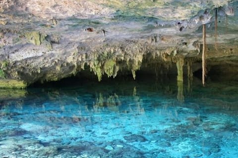 Half Day Semiprivate Snorkeling with Turtles and Majestic Cenote — photo 2