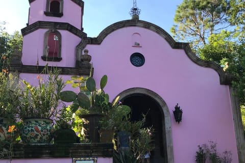 Visite d’une journée du Jardin botanique de Puerto Vallarta — photo 5
