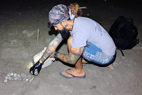 Patrol and Night Encounter with Sea Turtles — photo 3
