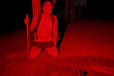 Patrol and Night Encounter with Sea Turtles — photo 8