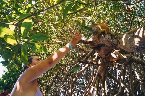 Turtle Release Escobilla Sanctuary and crocs in Ventanilla. — photo 7