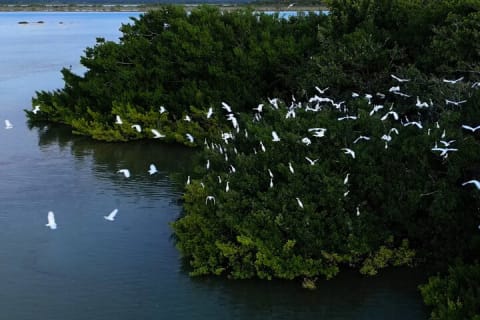 Bacalar Legends and Colors — photo 11