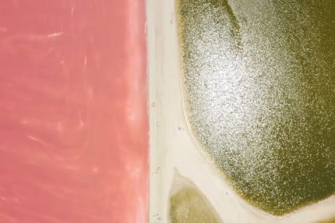 From Cancun: Rio Lagartos, Coloradas and Mayan Bath — photo 1