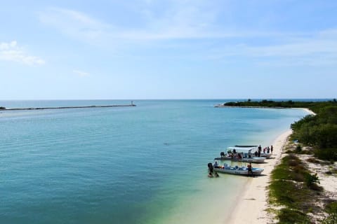 From Cancun: Rio Lagartos, Coloradas and Mayan Bath — photo 11