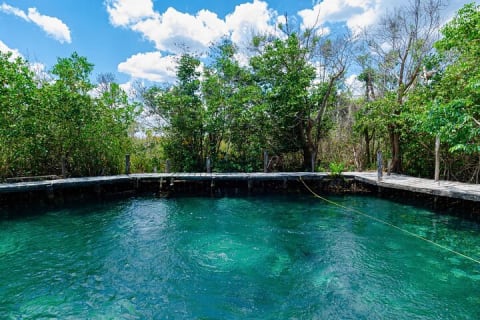 The best of Holbox from Tulum — photo 9