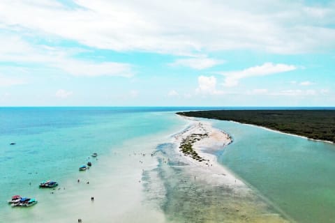 The best of Holbox from Tulum — photo 11